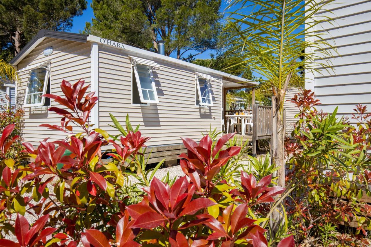 Camping Taxo Les Pins อาร์เจเลส-ซัวร์-แมร์ ภายนอก รูปภาพ
