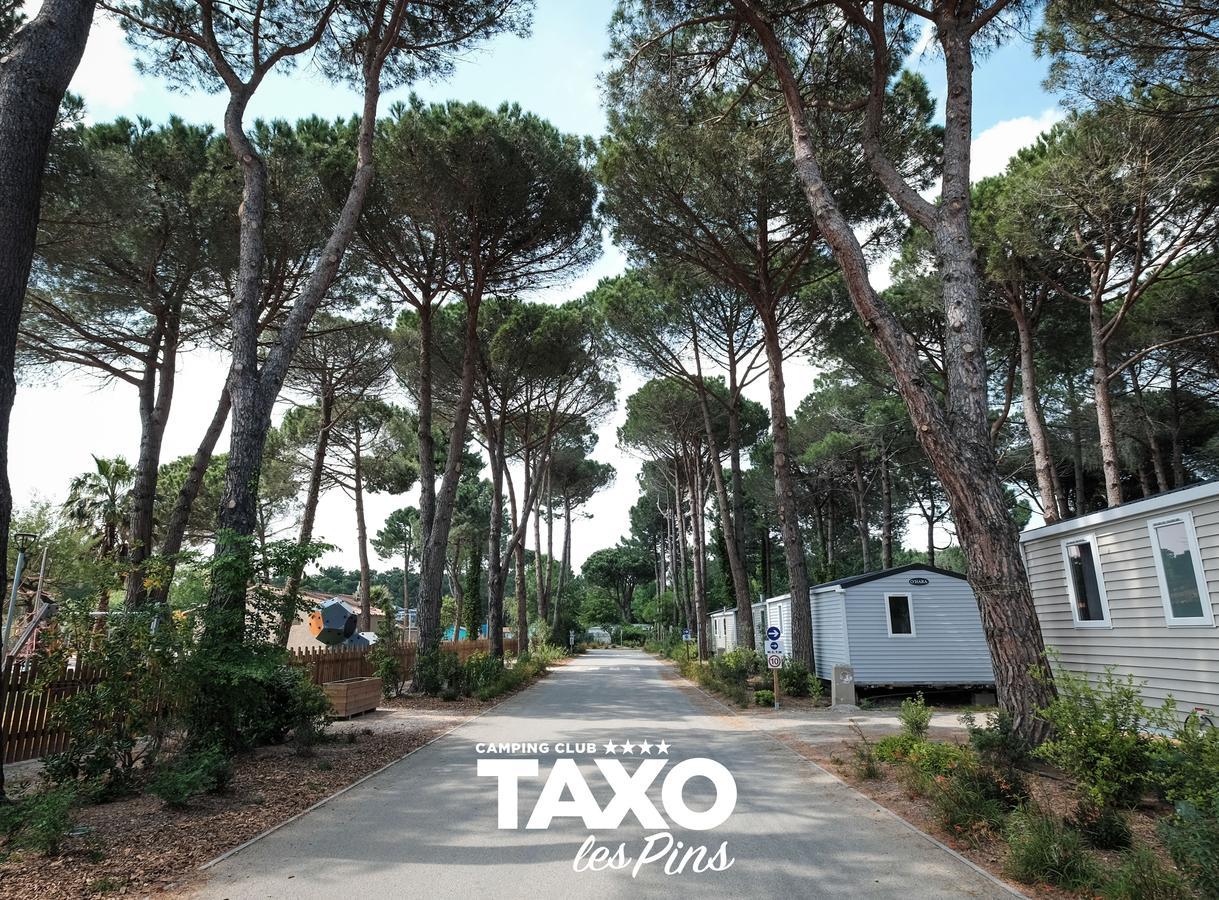Camping Taxo Les Pins อาร์เจเลส-ซัวร์-แมร์ ภายนอก รูปภาพ
