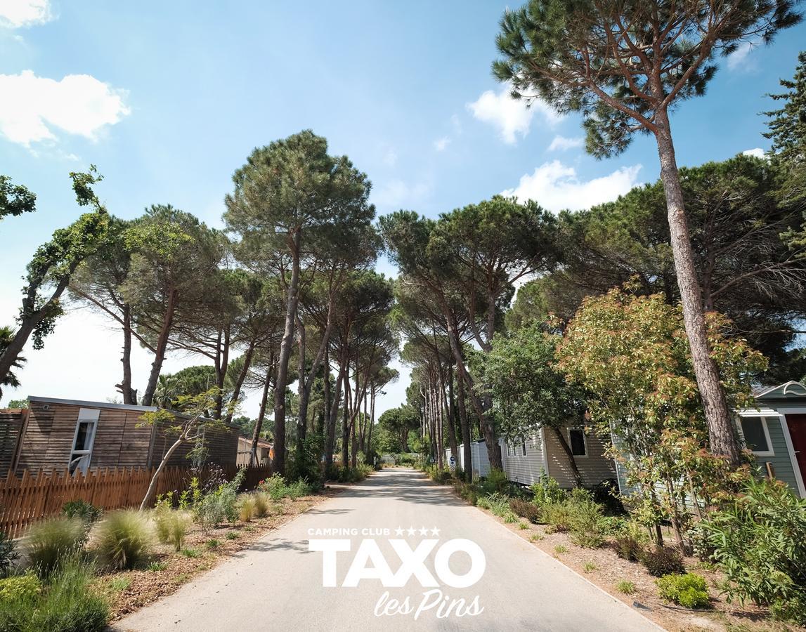 Camping Taxo Les Pins อาร์เจเลส-ซัวร์-แมร์ ภายนอก รูปภาพ
