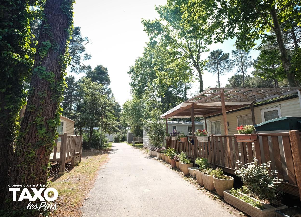 Camping Taxo Les Pins อาร์เจเลส-ซัวร์-แมร์ ภายนอก รูปภาพ