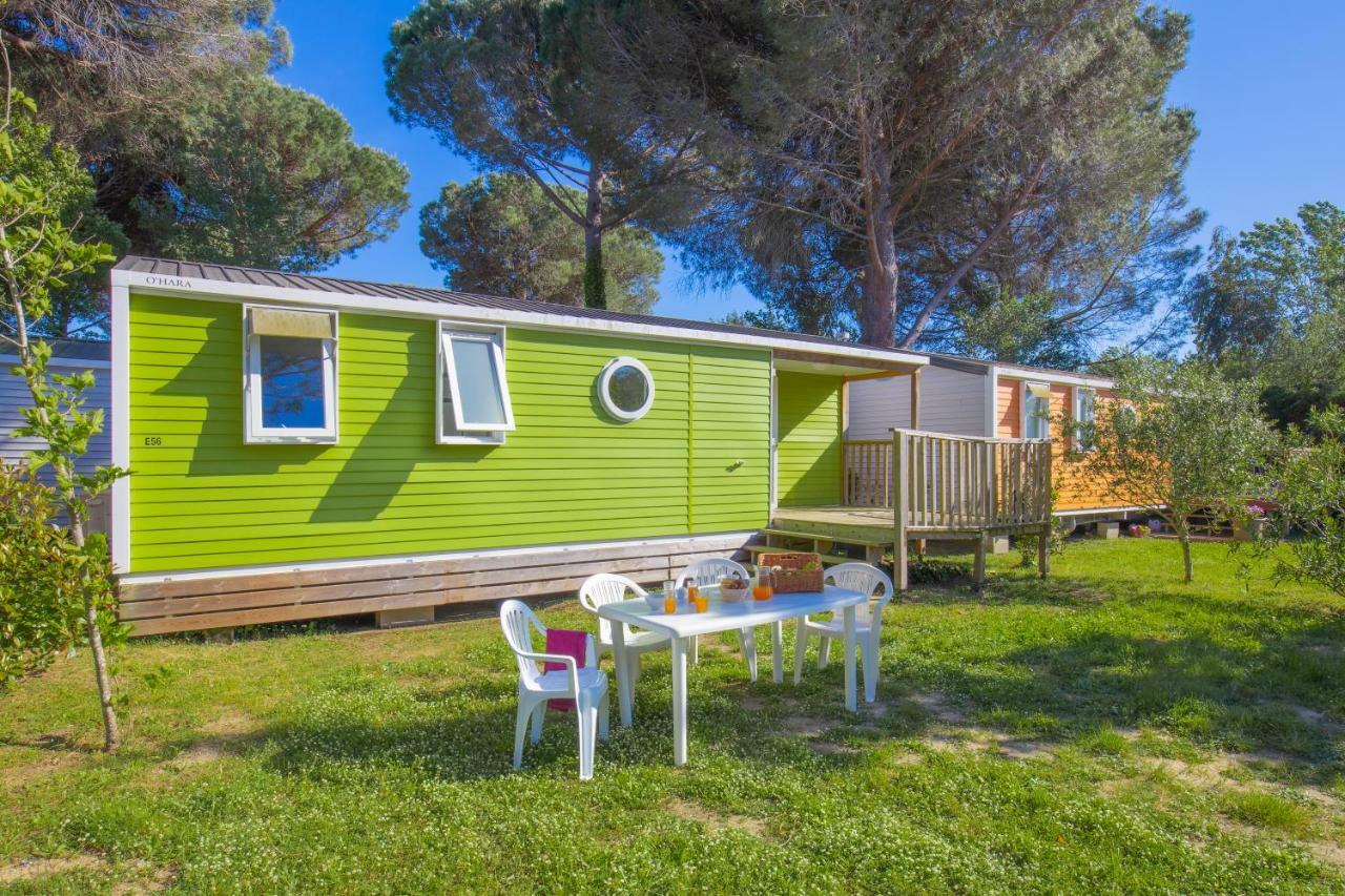 Camping Taxo Les Pins อาร์เจเลส-ซัวร์-แมร์ ภายนอก รูปภาพ