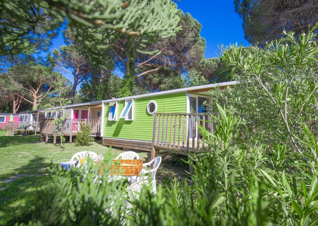 Camping Taxo Les Pins อาร์เจเลส-ซัวร์-แมร์ ภายนอก รูปภาพ